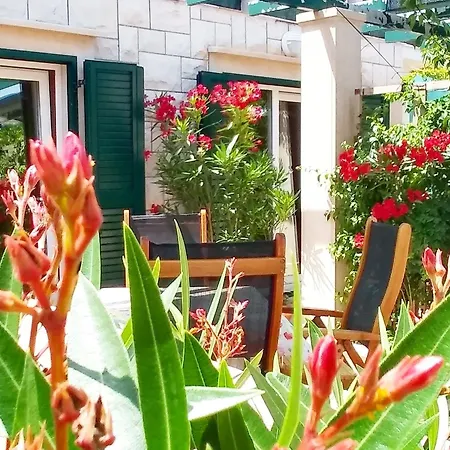 Apartamento Ennio - 100m From The *